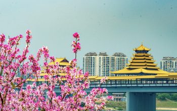 【每周一橋】之柳州鳳凰嶺大橋